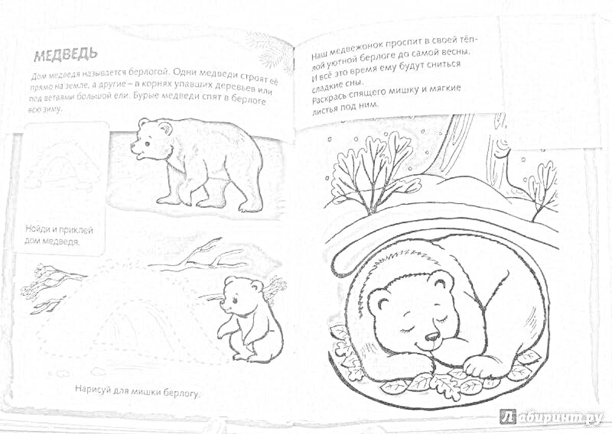 Раскраска Три медведя: стоящий медведь, медвежонок у сугроба, спящий медведь в берлоге под деревом.