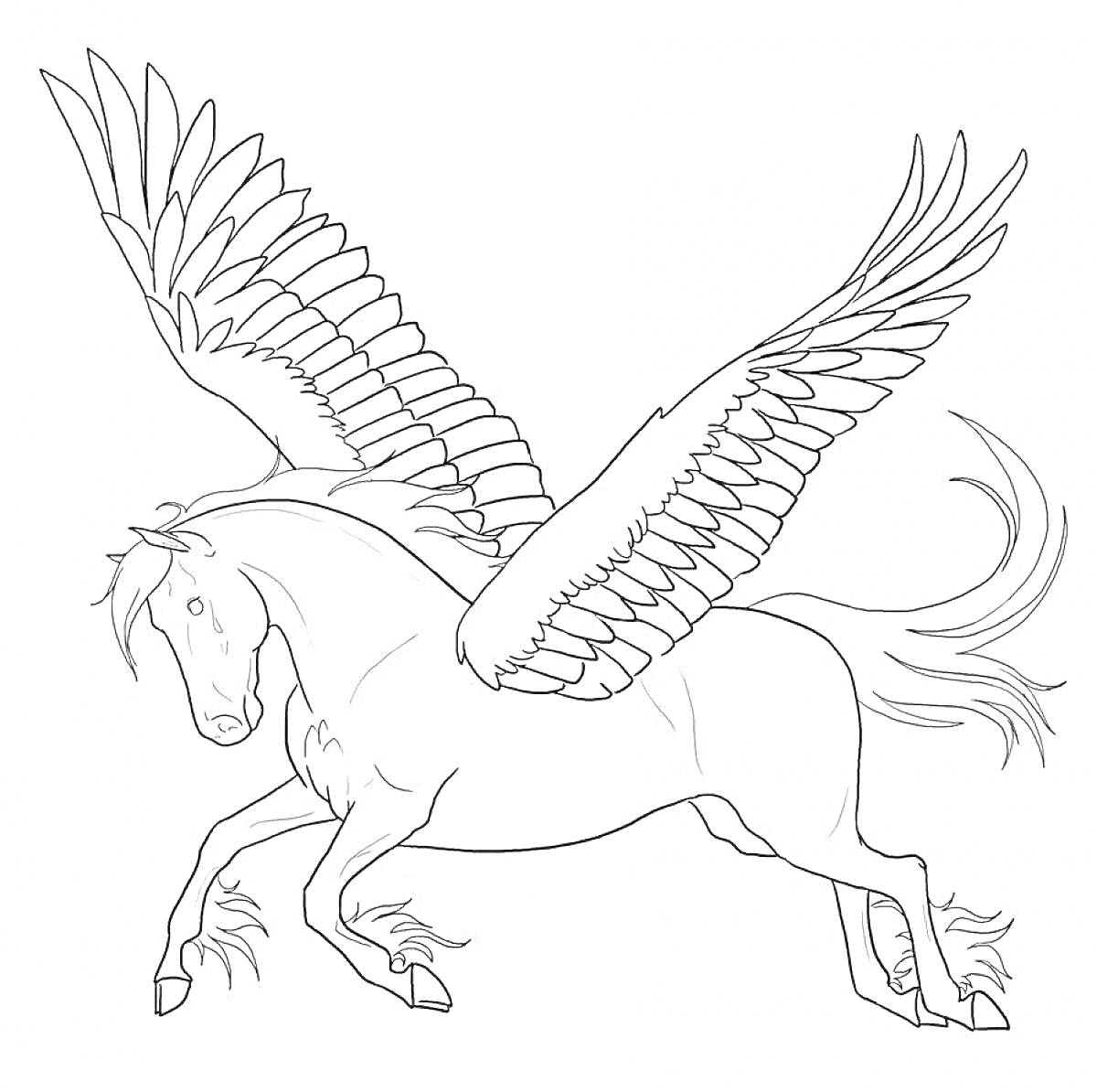 Раскраска Единорог с большими крыльями в прыжке