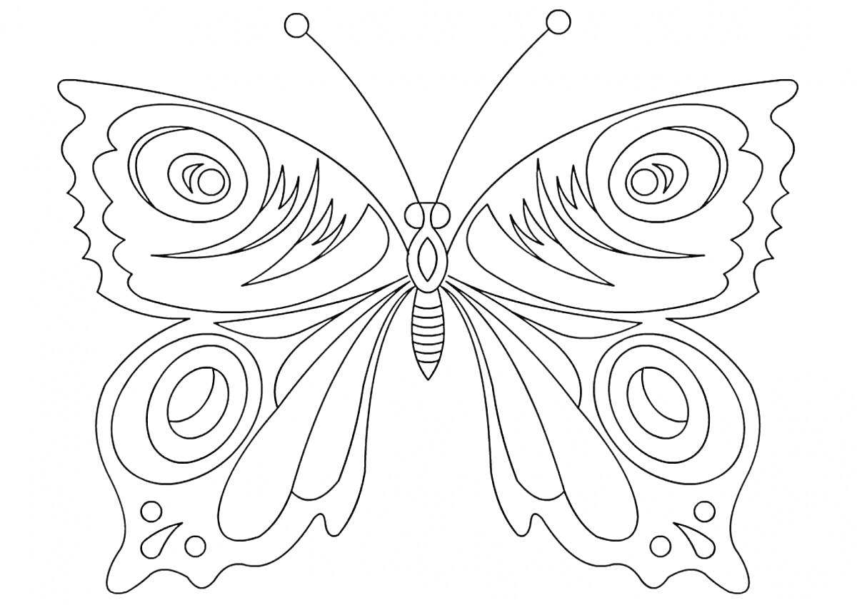 На раскраске изображено: Бабочка, Павлиний глаз, Узоры, Крылья, Насекомое, Антенны