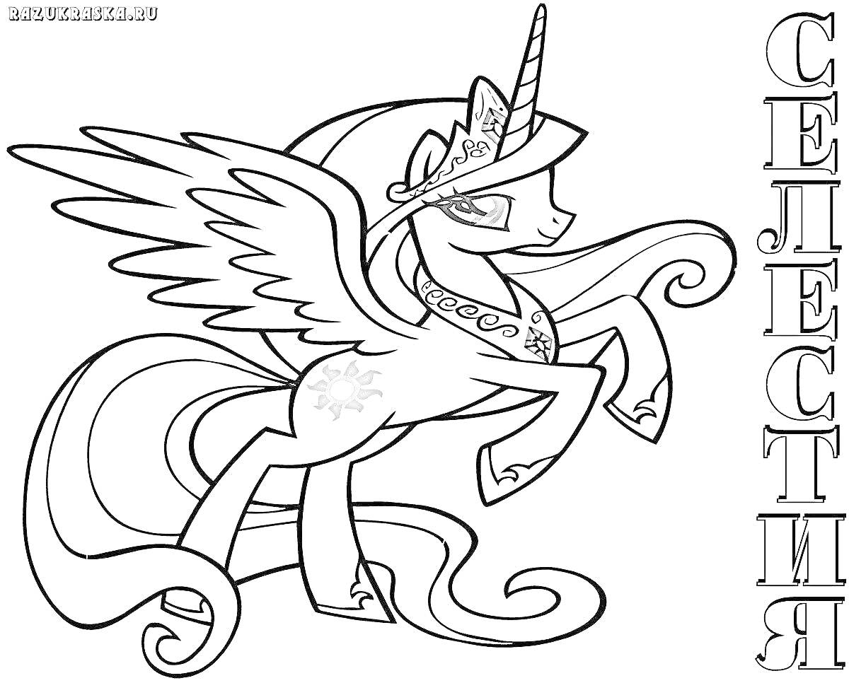 Раскраска Принцесса Селестия с короной, гривой, хвостом, крыльями, на фоне название 