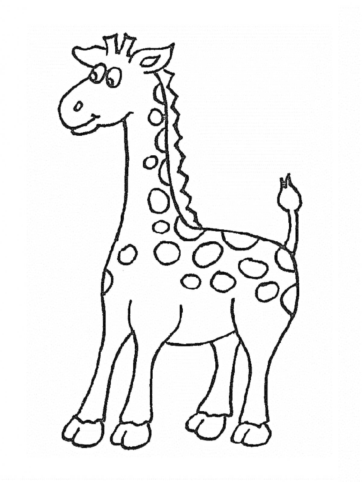 Раскраска Жираф с пятнами, стоящий на четырех ногах