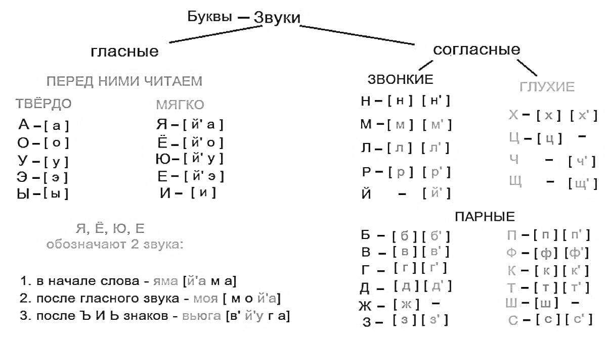 На раскраске изображено: Буквы, Звуки, Фонетический разбор, Гласные, Согласные, Звонкие, Глухие, Парные, Таблица