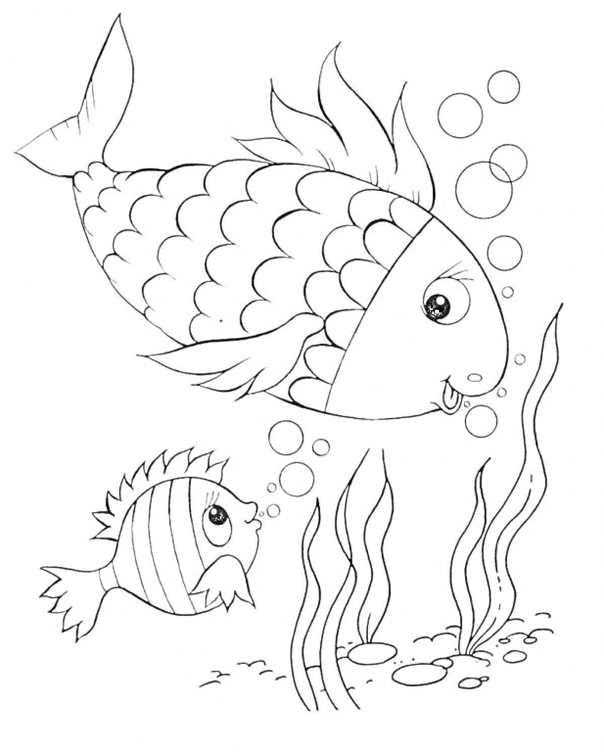 Раскраска Две рыбы с пузырьками в окружении водорослей и камней