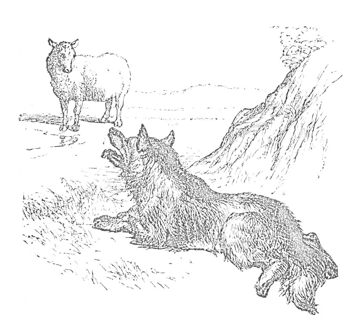 На раскраске изображено: Ягненок, Волк, Утёс, Трава, Природа, Животные
