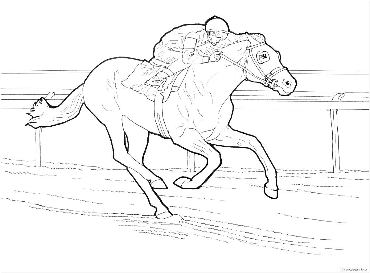 На раскраске изображено: Лошадь, Скачки, Спорт, Скорость