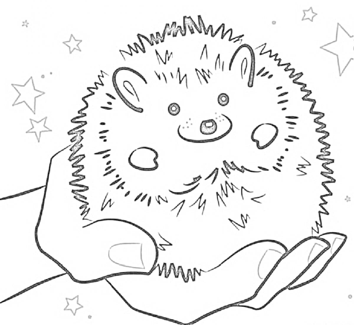 Раскраска Ёжик в руках со звёздами на фоне