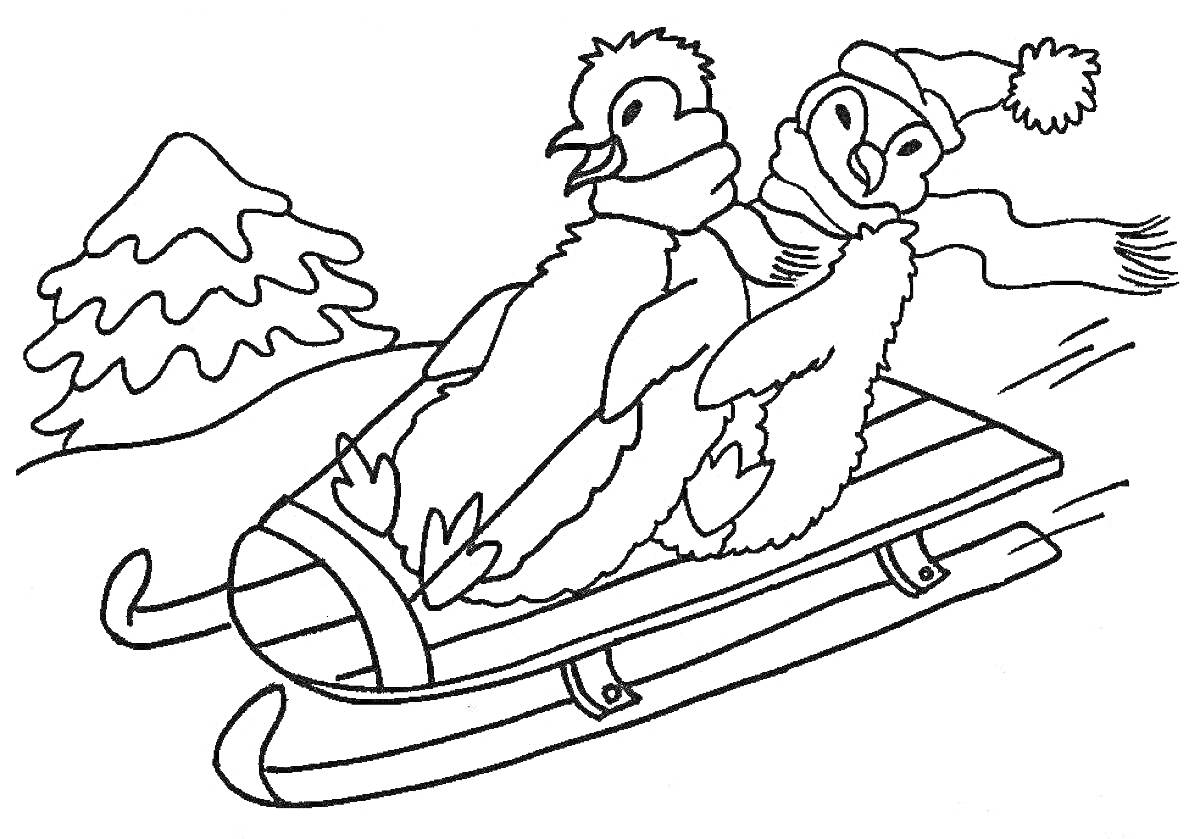 На раскраске изображено: Пингвины, Снег, Зима, Новогоднее настроение, Природа, Животные