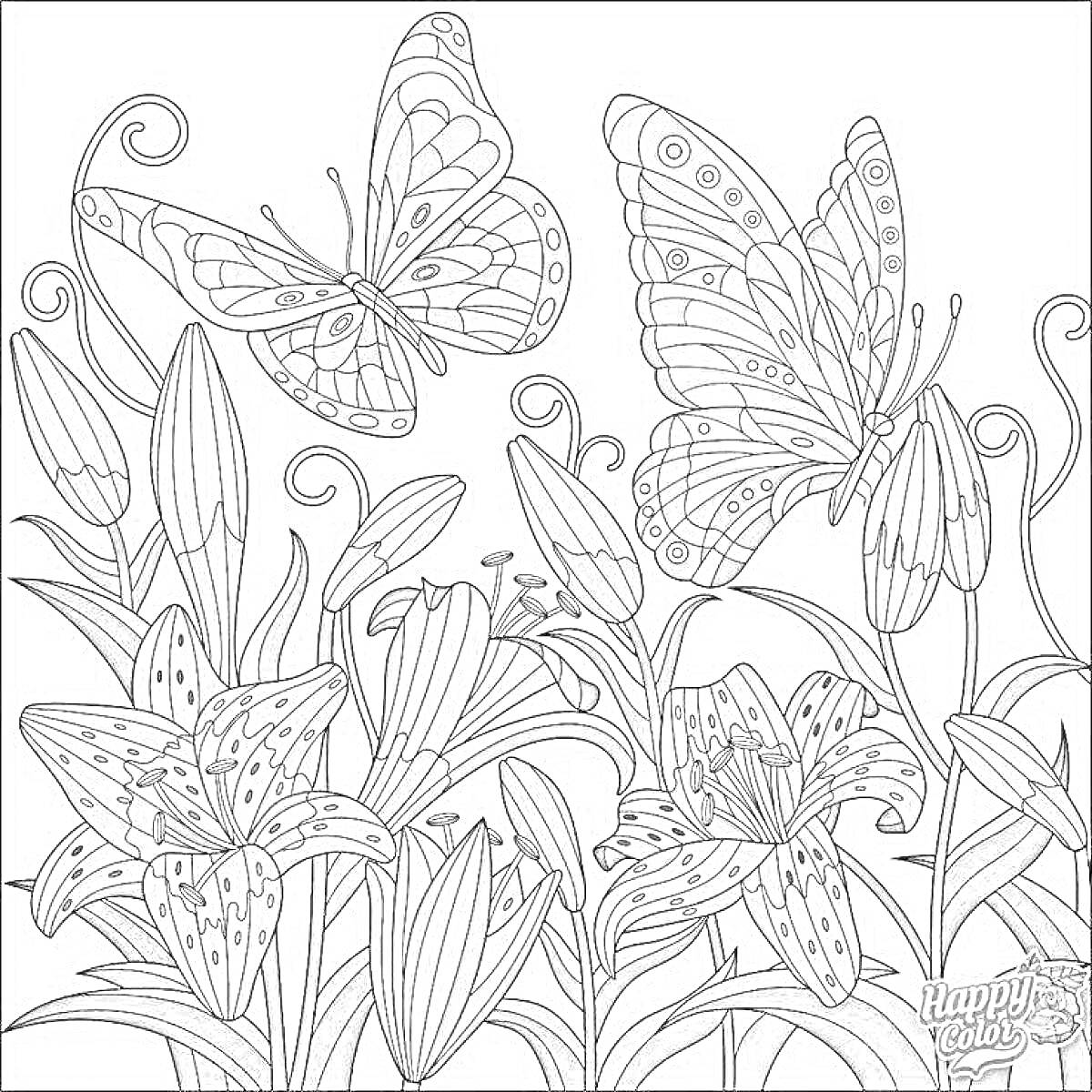 Раскраска Бабочки и цветы: две бабочки над цветами, включающими лилии и листья
