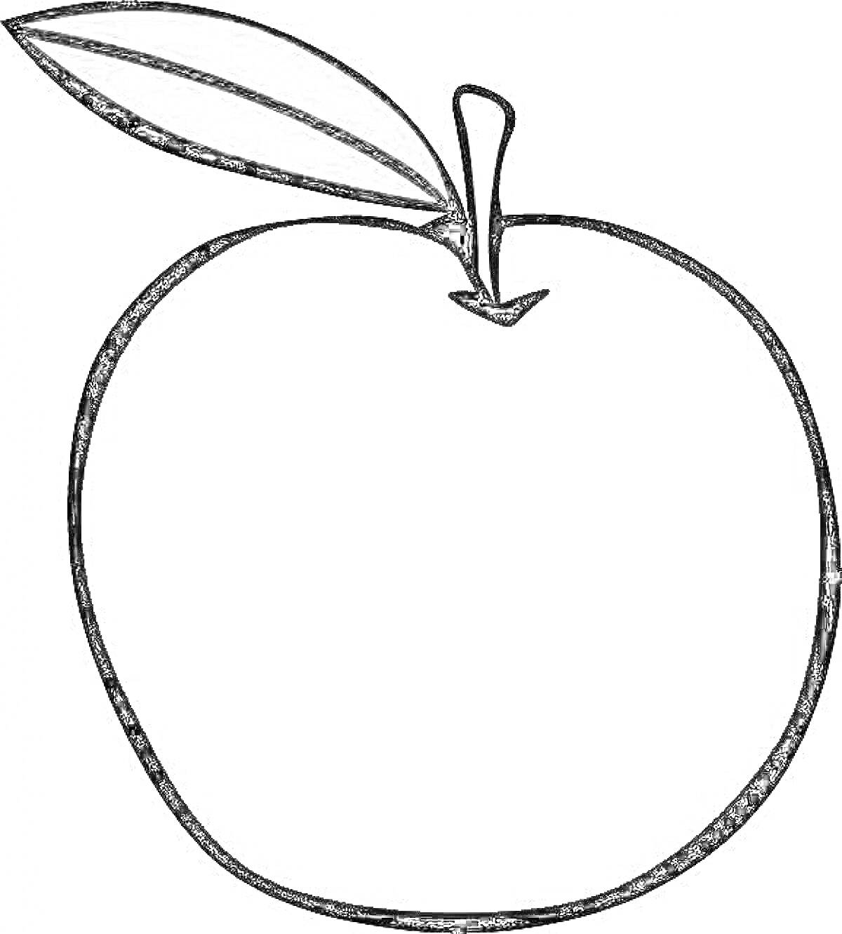 На раскраске изображено: Яблоко, 2-3 года, Зеленый, Для детей, Листья, Фрукты, Контурные рисунки