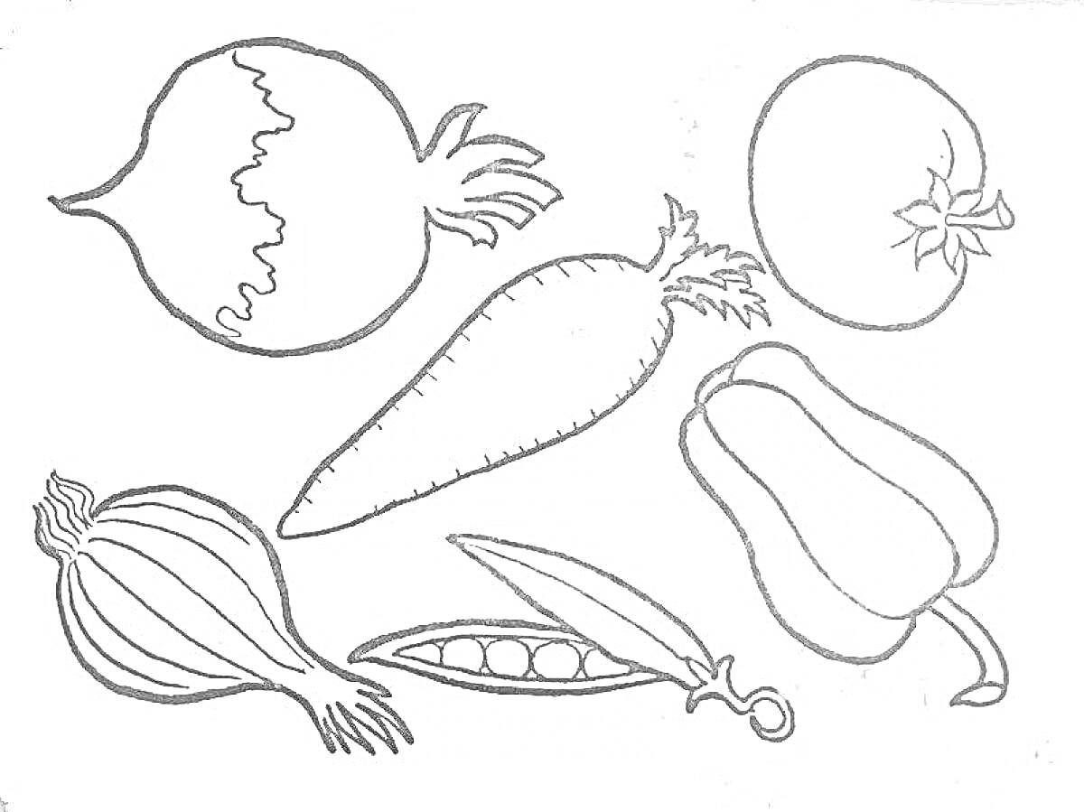 На раскраске изображено: Овощи, Лук, Гранат, Морковь, Горох, Перец, Помидор, 3-4 года