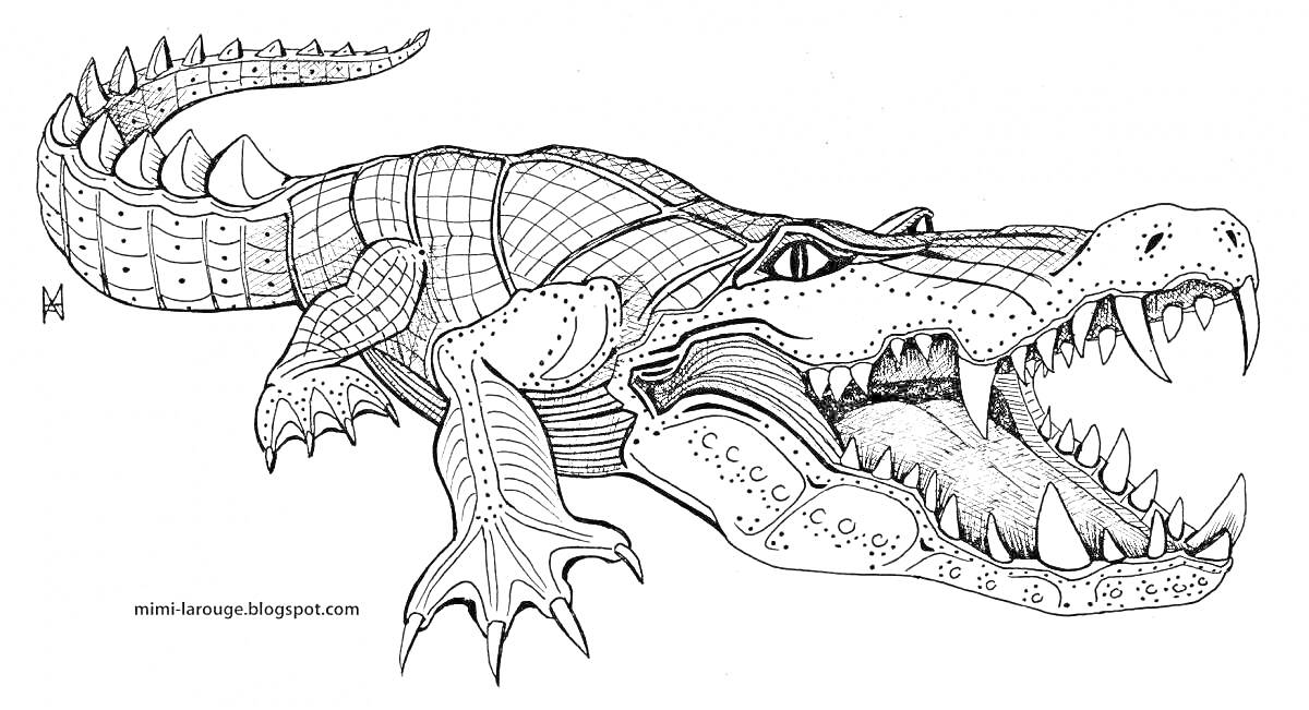 Раскраска Крокодил с оскаленной пастью