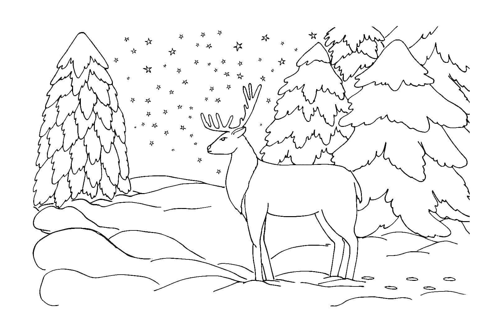 Раскраска Олень в зимнем лесу с ёлками и звёздами