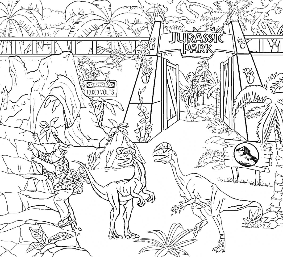На раскраске изображено: Ворота, Предупреждающий знак, Человек, Растительность, Тропики, Забор, Лес, Динозавр