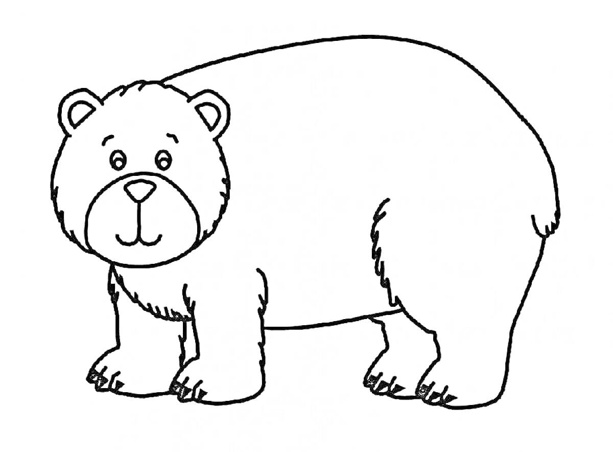 На раскраске изображено: Медведь, Животные, Буква ь, Для детей, Контурные рисунки