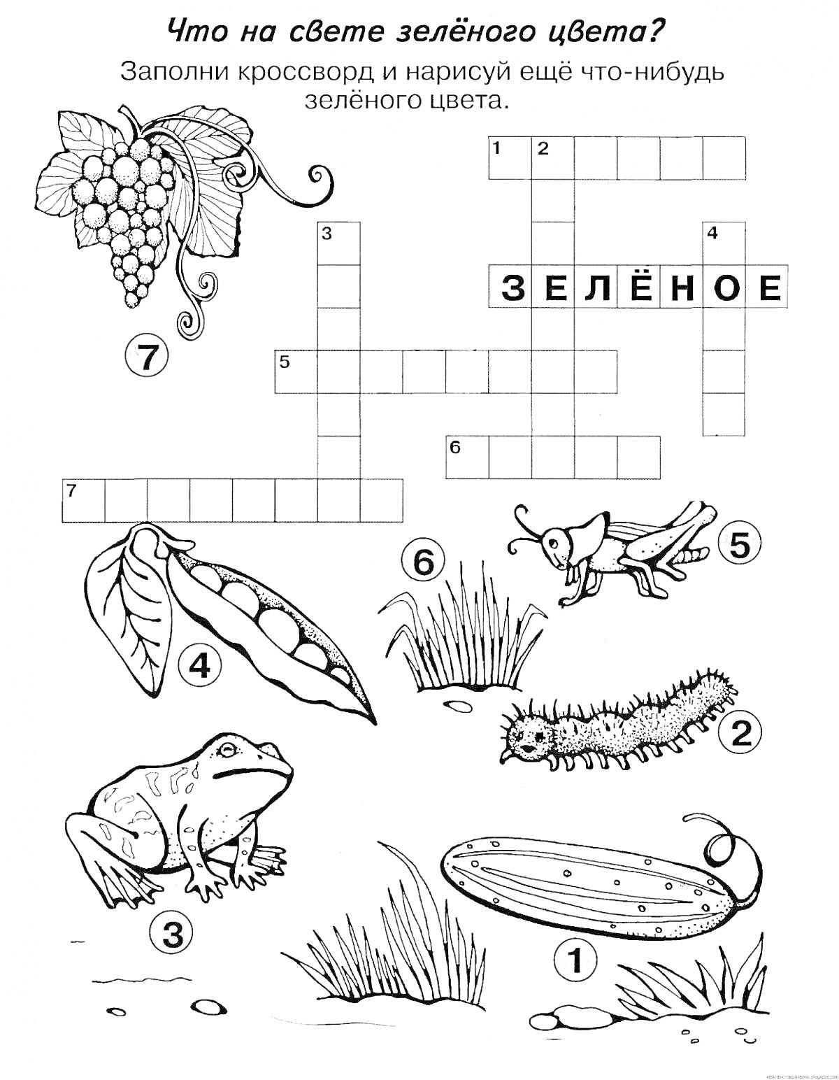 На раскраске изображено: Кроссворд, Виноград, Кузнечик, Горох, Огурец, Обучение