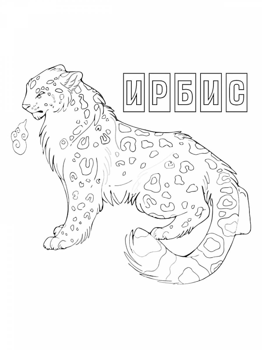 Раскраска ирбис, подпись OUNCE #963767