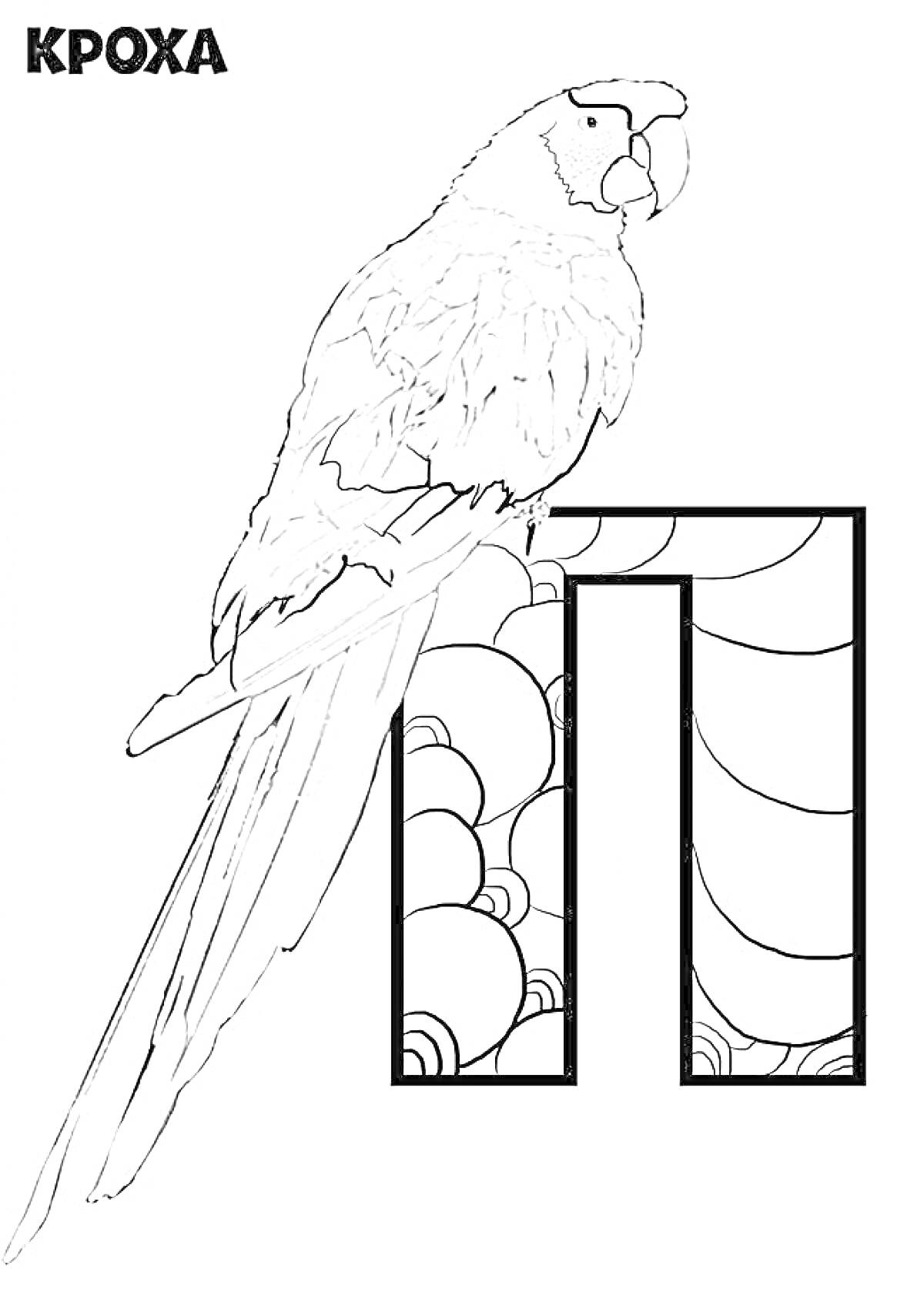 Раскраска Буква П с попугаем и орнаментом.