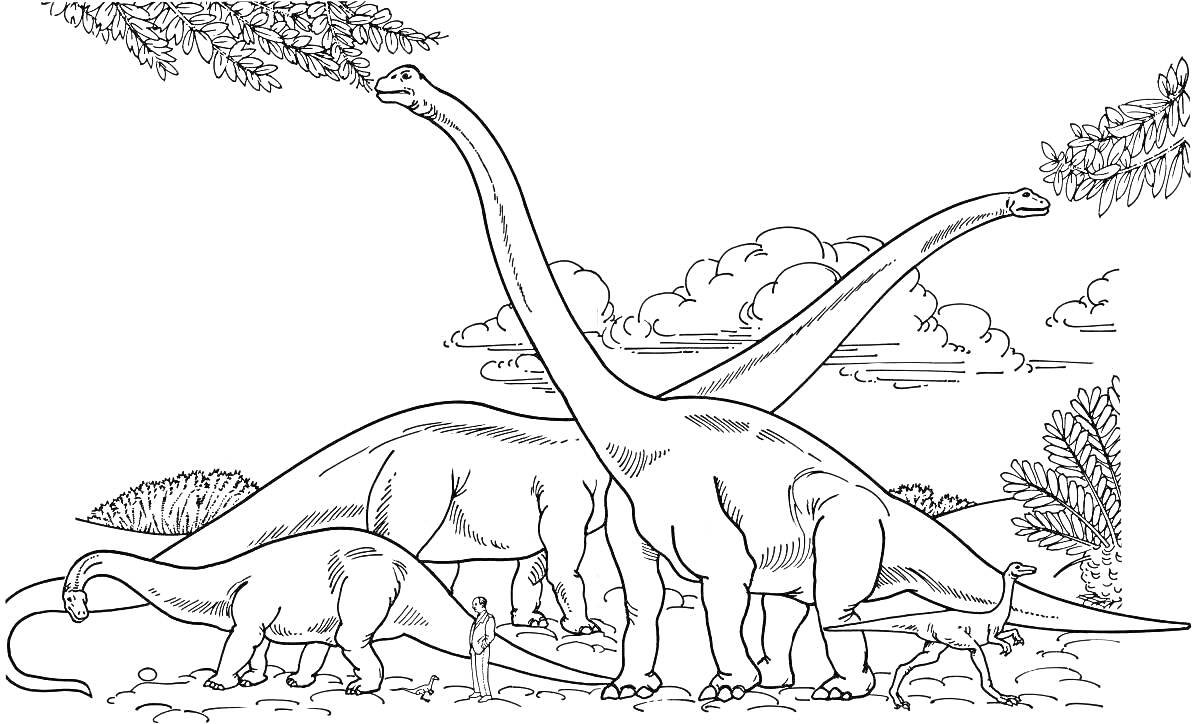 Раскраска Длинношеие динозавры в лесу на фоне облаков