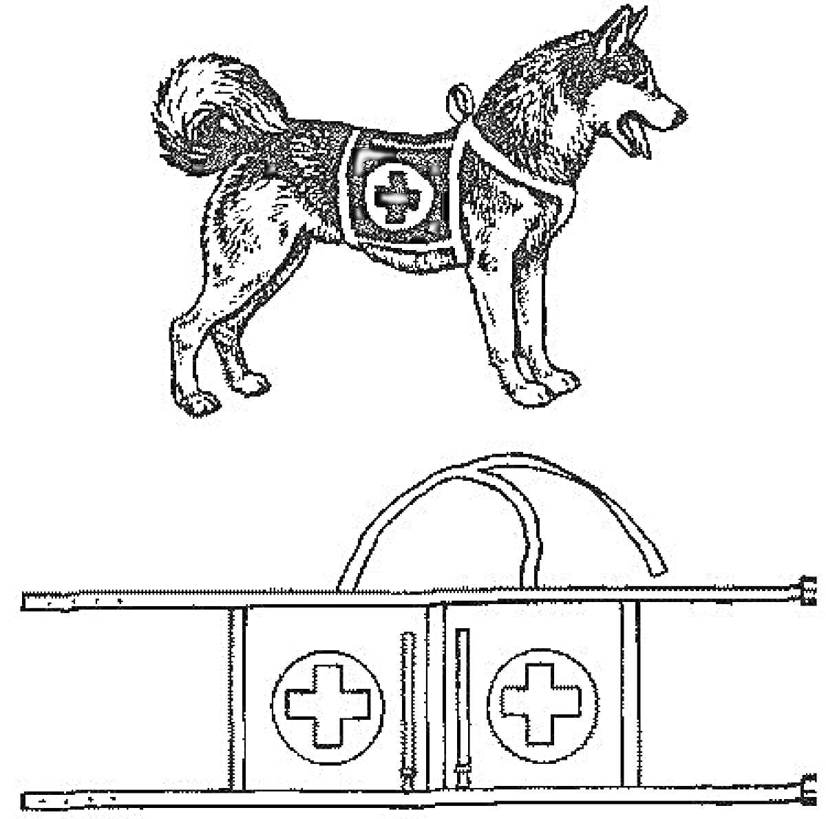 На раскраске изображено: Сани, Медицинский крест, Подготовительная группа, Животные, Помощь, Медицина, Собака