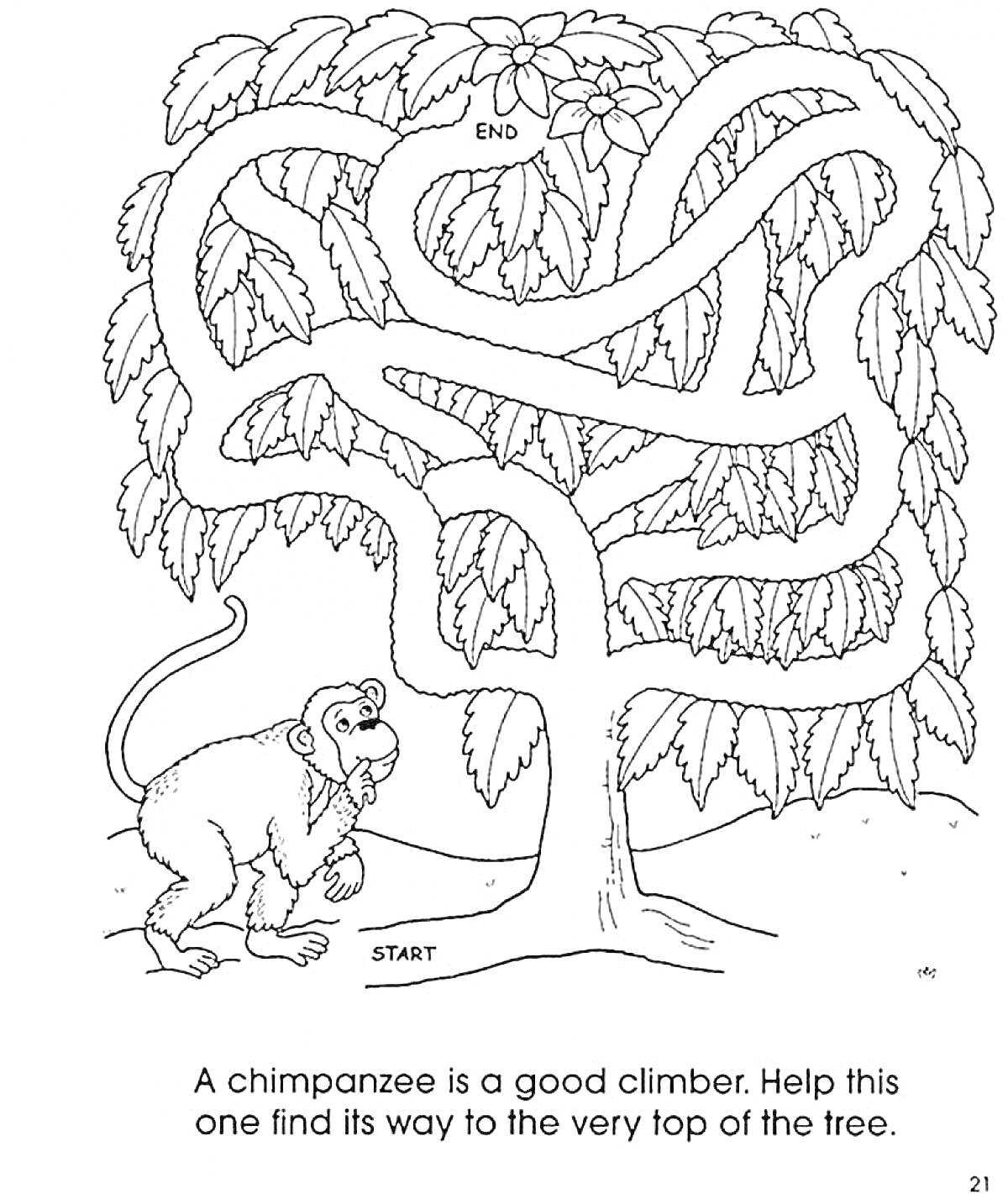 Раскраска лабиринт с шимпанзе и деревом, путь от нижней части дерева к верхушке