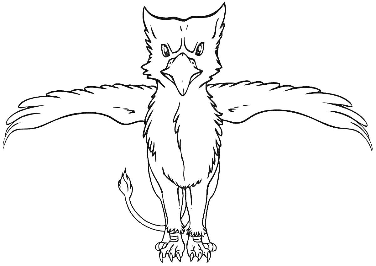 Раскраска Грифон с расправленными крыльями и хвостом