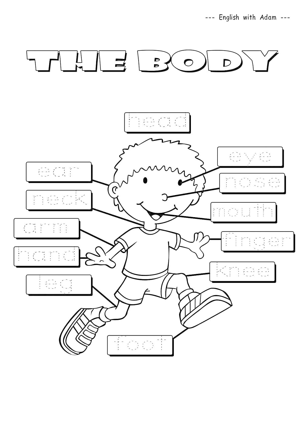 Раскраска с обозначениями частей тела на английском языке для детей