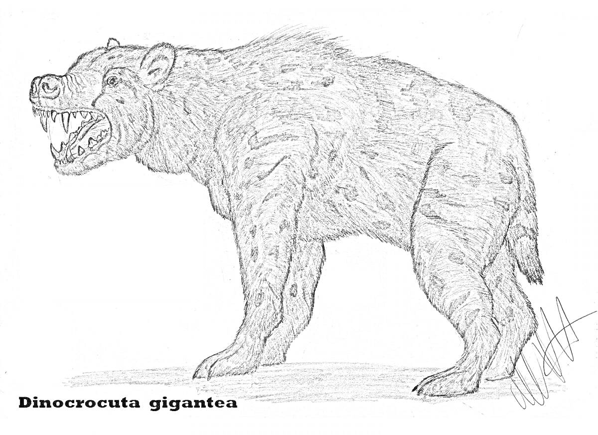 Раскраска Dinocrocuta gigantea, стоящая на земле