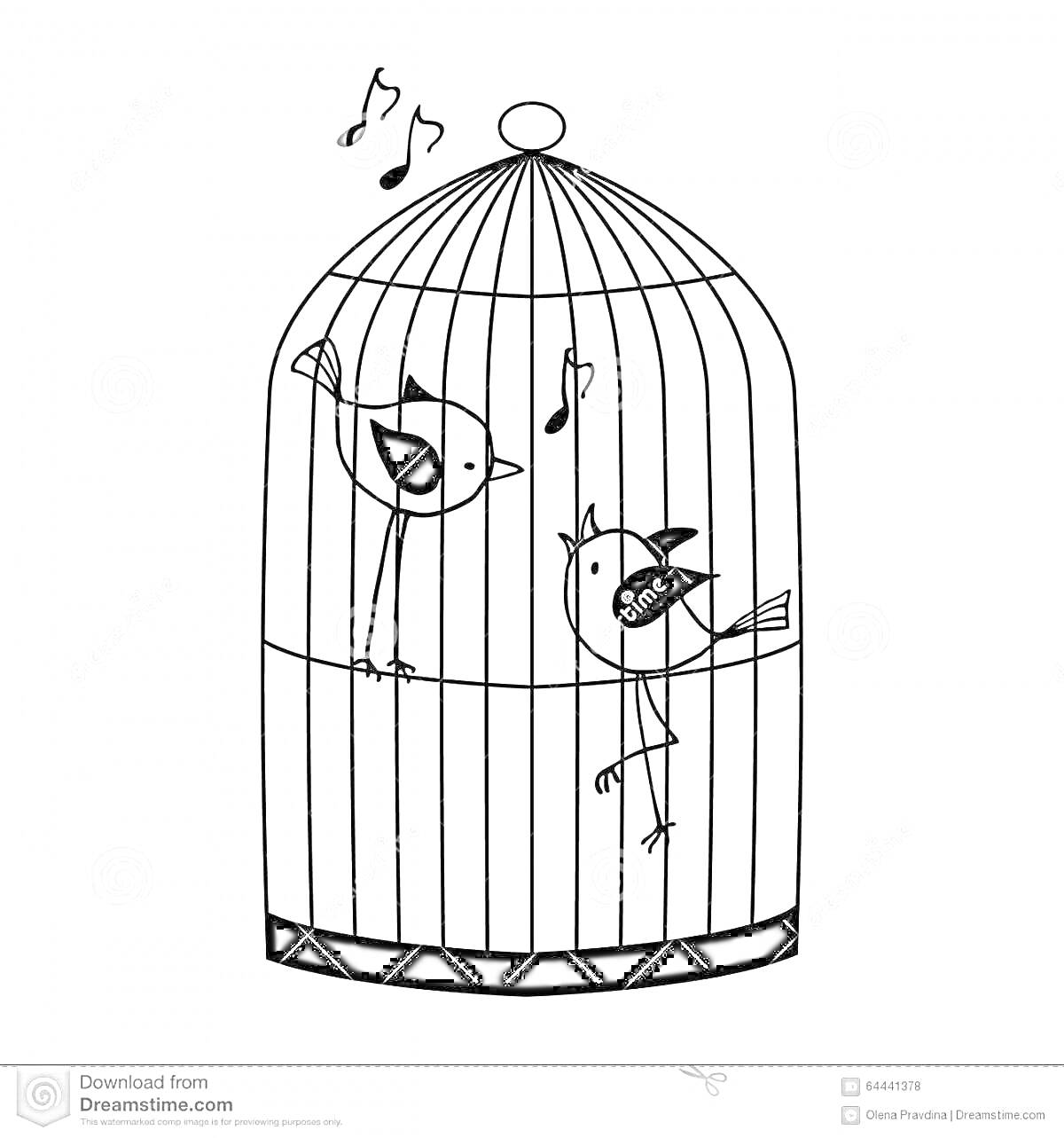 На раскраске изображено: Попугаи, Ноты, Музыка, Животные