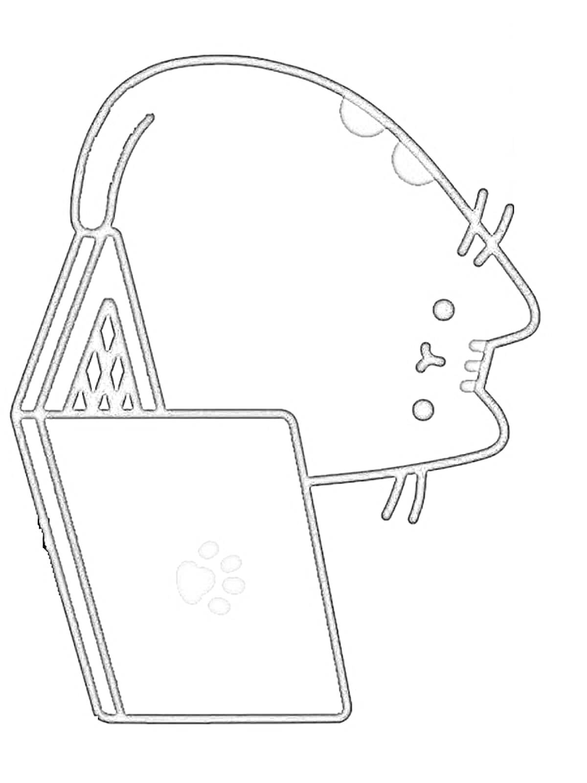 Раскраска Кот Пушин, читающий книгу с лапкой на обложке