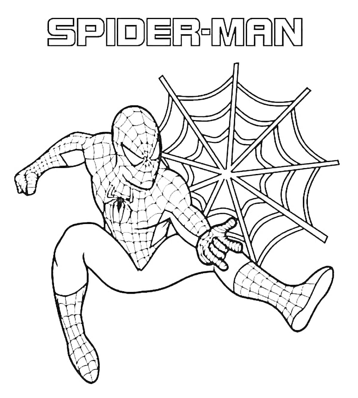 Раскраска Человек-Паук в прыжке с паутиной на фоне
