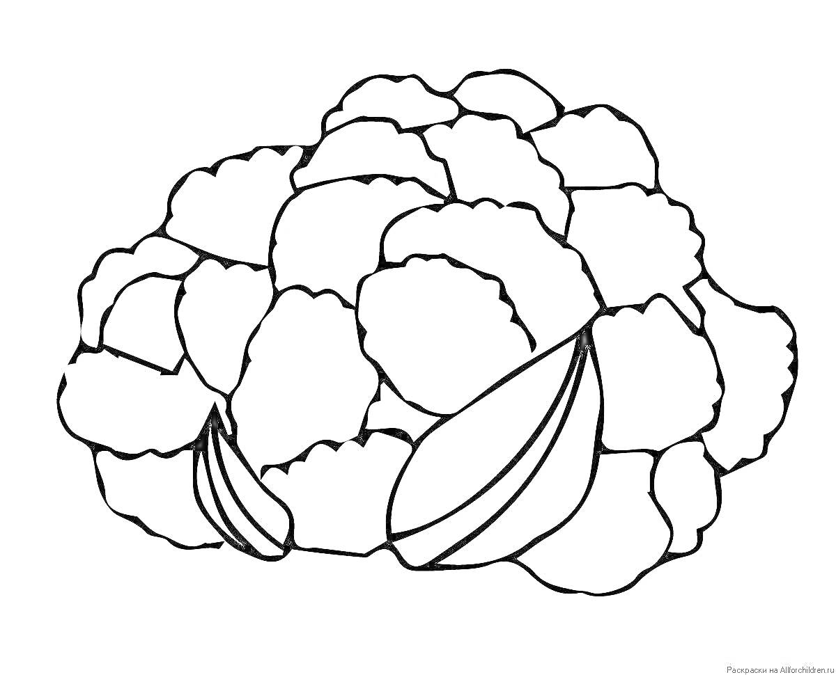 На раскраске изображено: Цветная капуста, Овощи, Листья