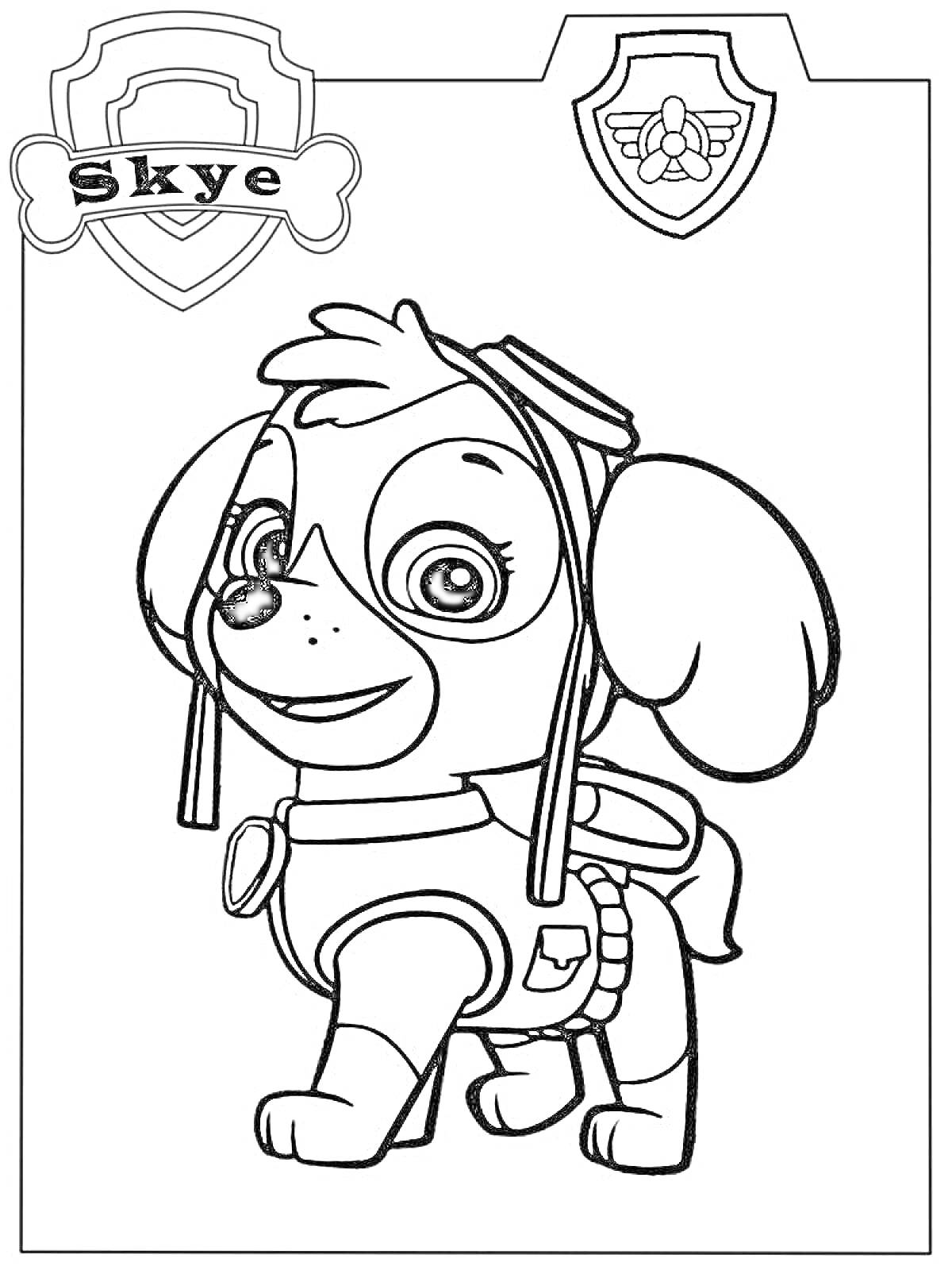 Раскраска Скай из Щенячьего патруля в костюме летчика с эмблемами