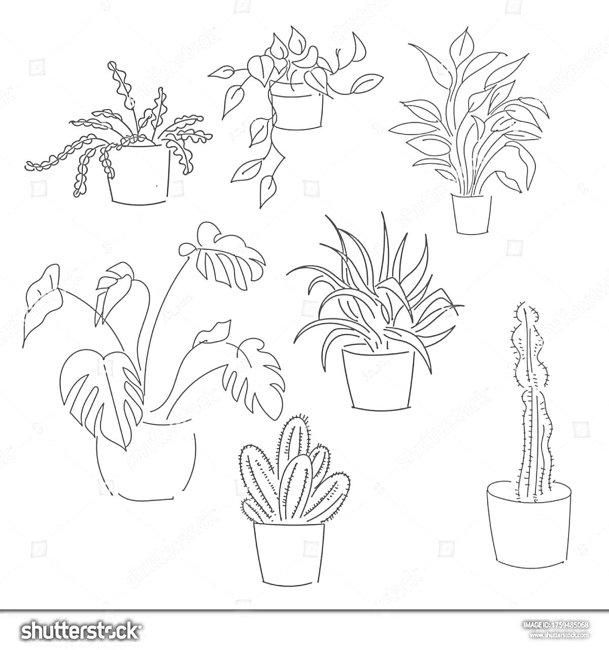 На раскраске изображено: Комнатные растения, Для детей, 6-7 лет, Папоротник, Плющ, Монстера