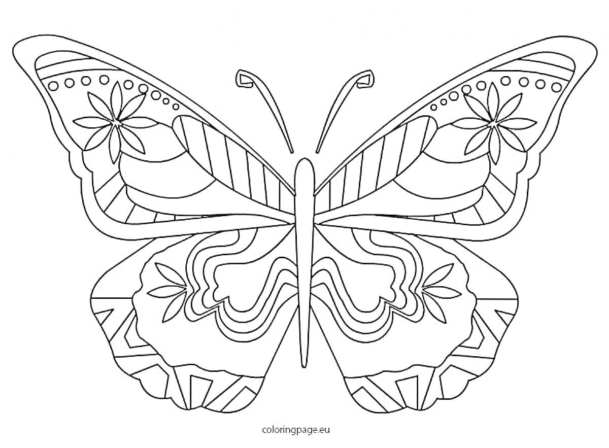 На раскраске изображено: Бабочка, Цветы, Узоры, Крылья, Легкий, Малыш, Творчество, Медитация