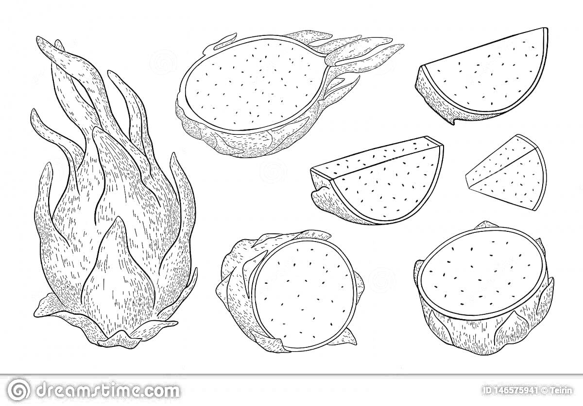 Раскраска Драконий фрукт с целыми и нарезанными кусочками