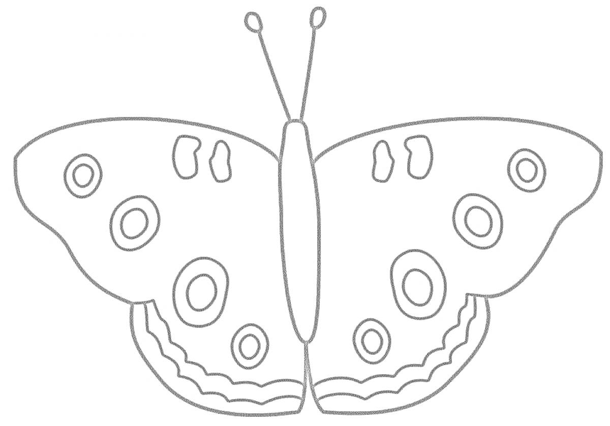 На раскраске изображено: Бабочка, 3-4 года, Узоры, Круги, Линии, Крылья, Антенны