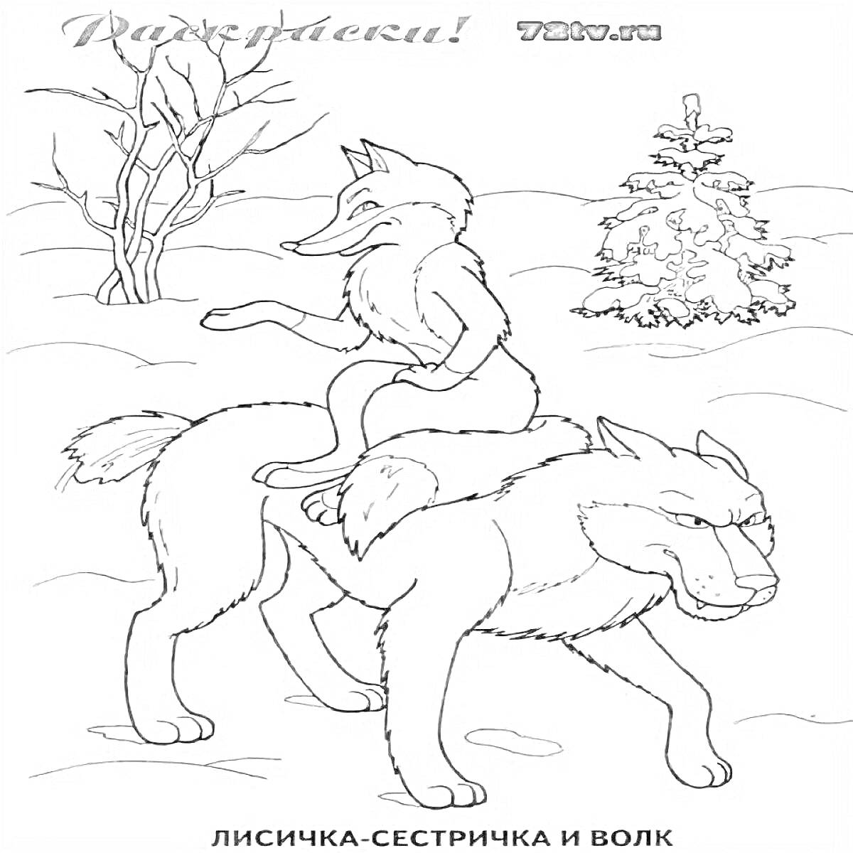 На раскраске изображено: Волк, Снег, Зима