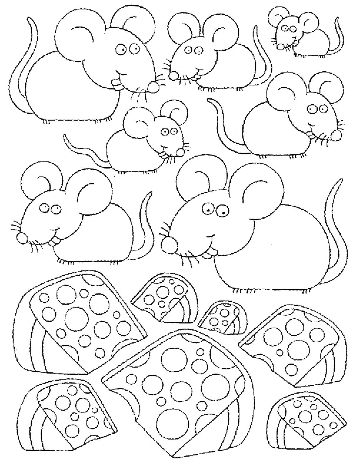 На раскраске изображено: Сыр, Еда, Грызуны, Друзья, Для детей, Мышь