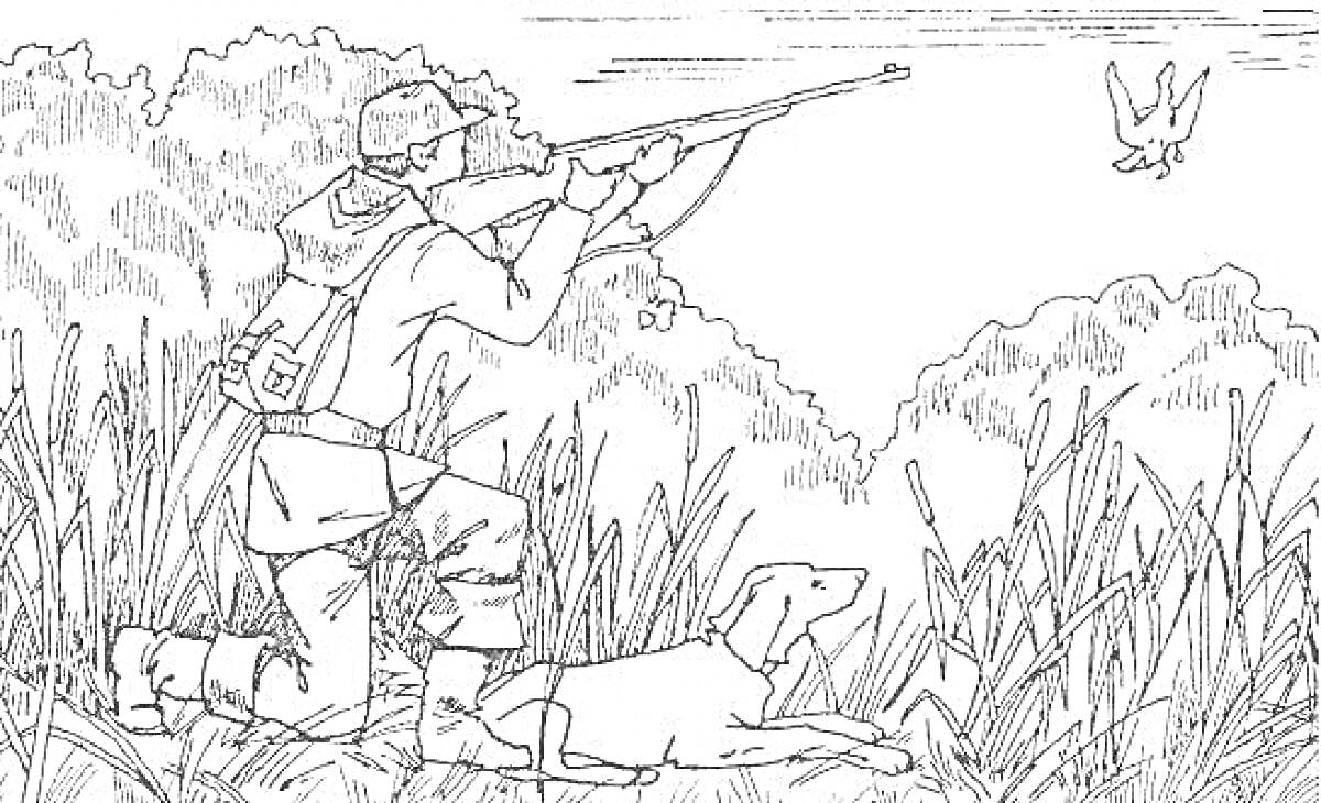 Раскраска Охотник с ружьём, стреляющий в птицу, рядом лежащая охотничья собака среди высокой травы и кустарников