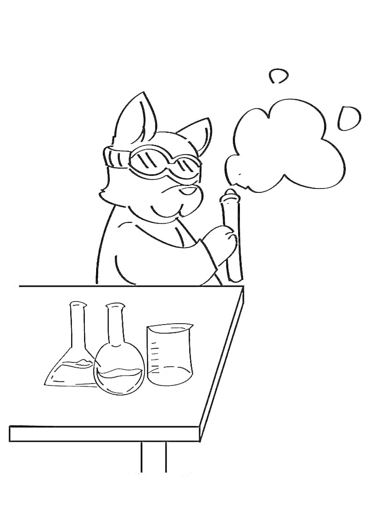 На раскраске изображено: Кот, Химия, Лаборатория, Дым, Стакан, Очки, Лабораторное оборудование