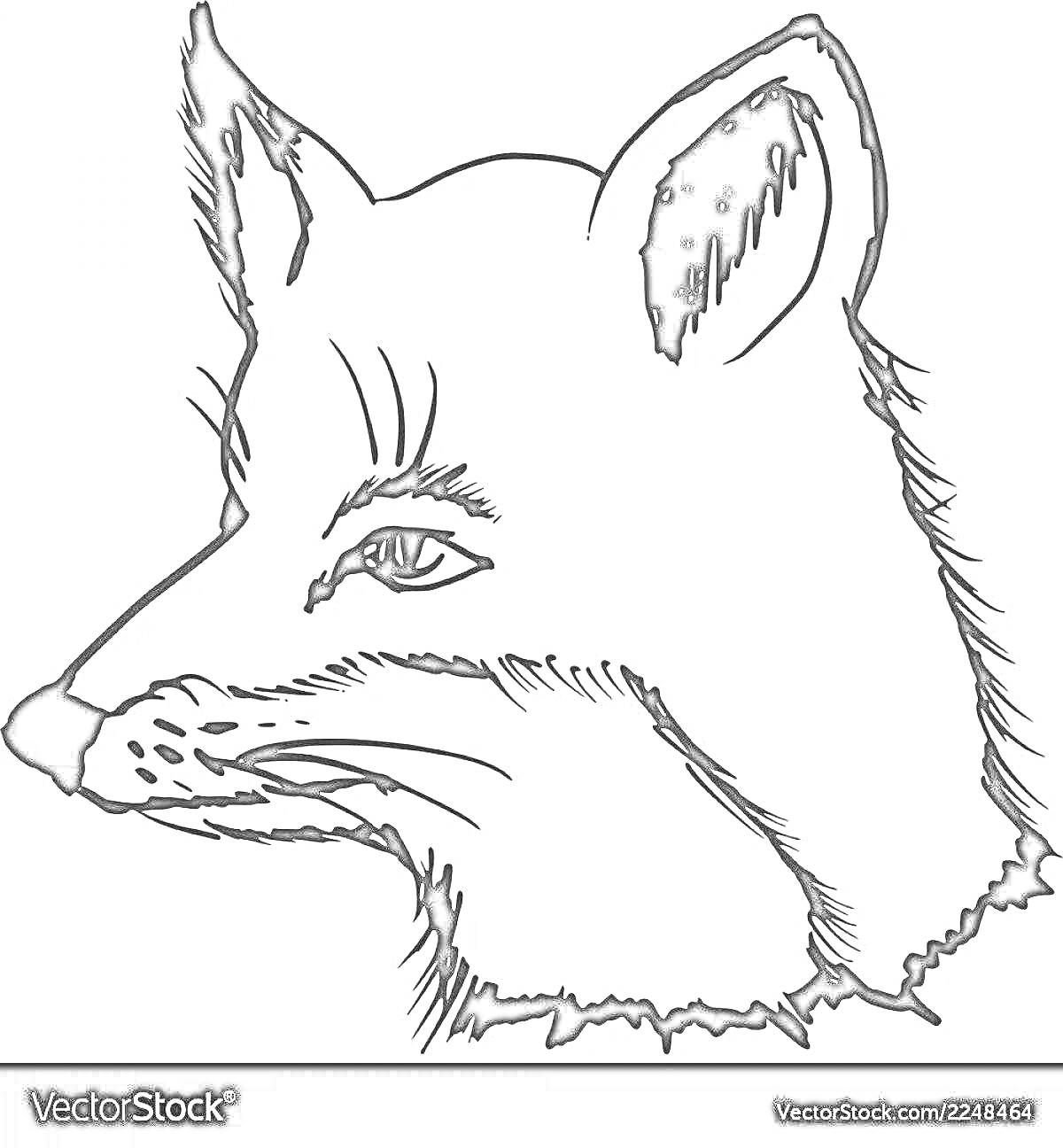 Раскраска морда лисы, вид сбоку, чёрно-белое изображение, контурный рисунок