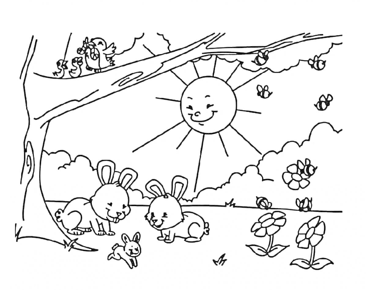 Раскраска Весенний день: два кролика с малышом, воробьи на ветке, улыбающееся солнце, бабочки, цветы