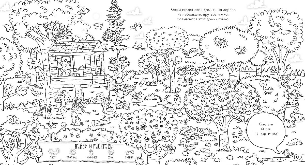 Раскраска Найди указанные предметы в лесу: робот, солнечные очки, ракету, бегемота, следы, книгу, зелёного жука, божью коровку, розовый хвост.