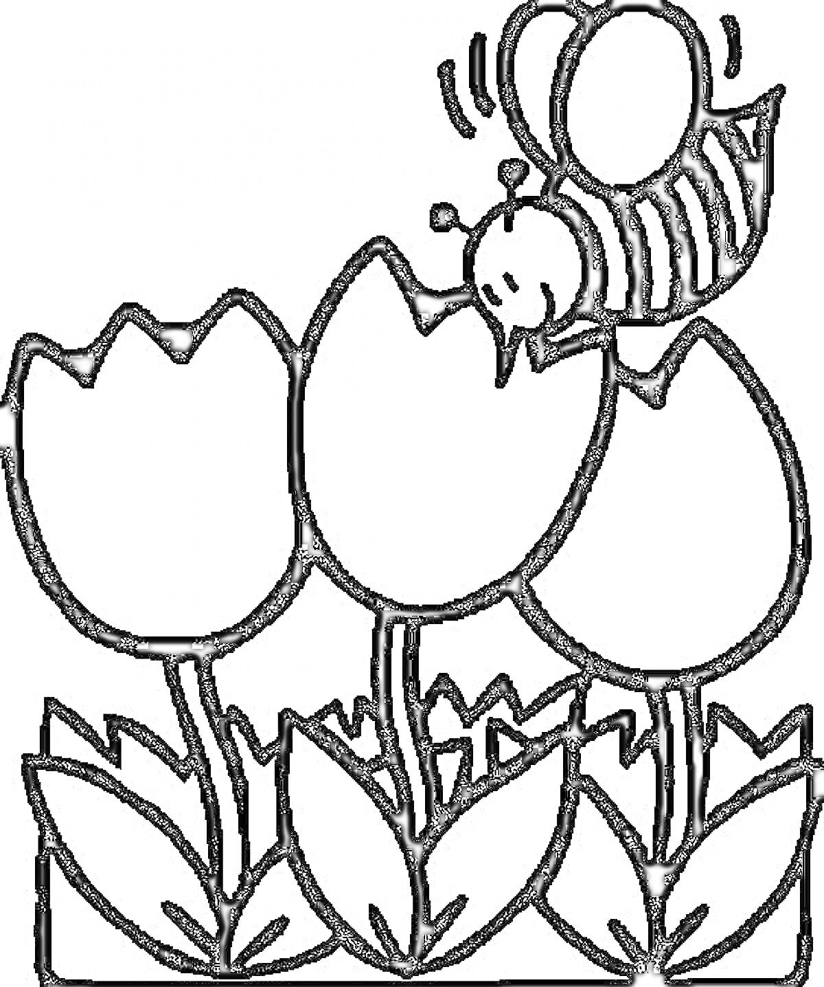 Раскраска Три тюльпана и пчела в полете