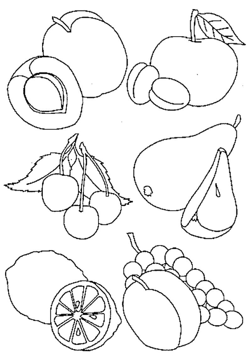 Раскраска Раскраска с фруктами - персик, абрикос, яблоко, вишня, груша, виноград, лимон