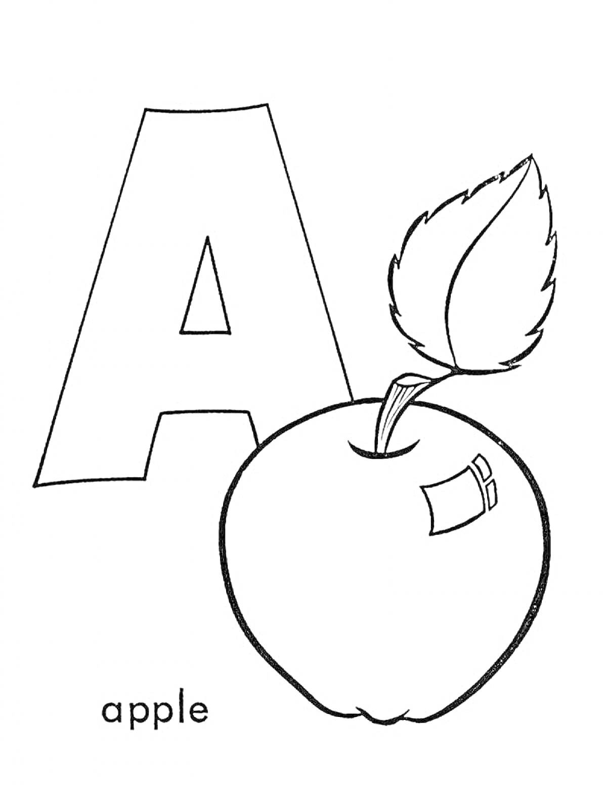 Раскраска Большая буква А с яблоком и листиком