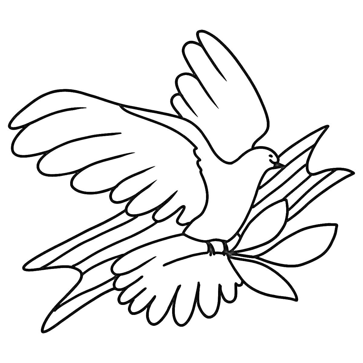 Раскраска Голубь с крыльями, ухвативший ветку