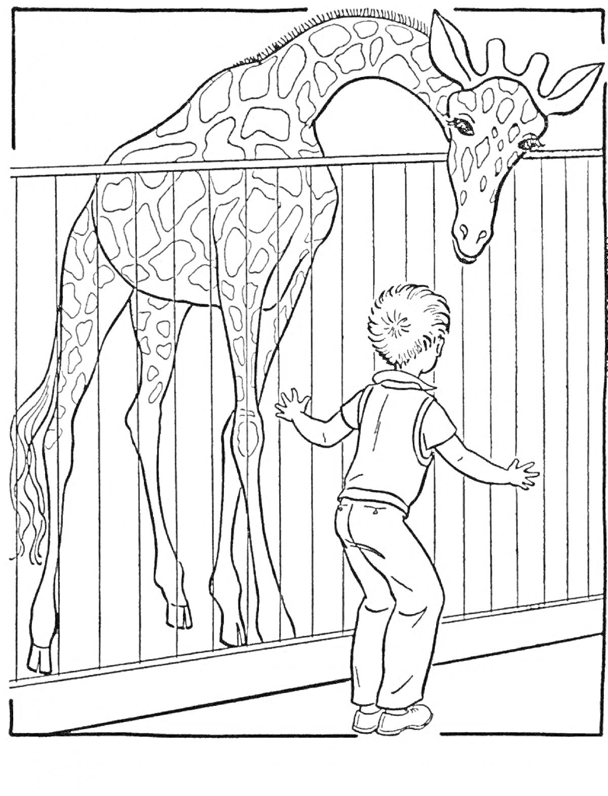 Раскраска Ребенок у клетки с жирафом в зоопарке