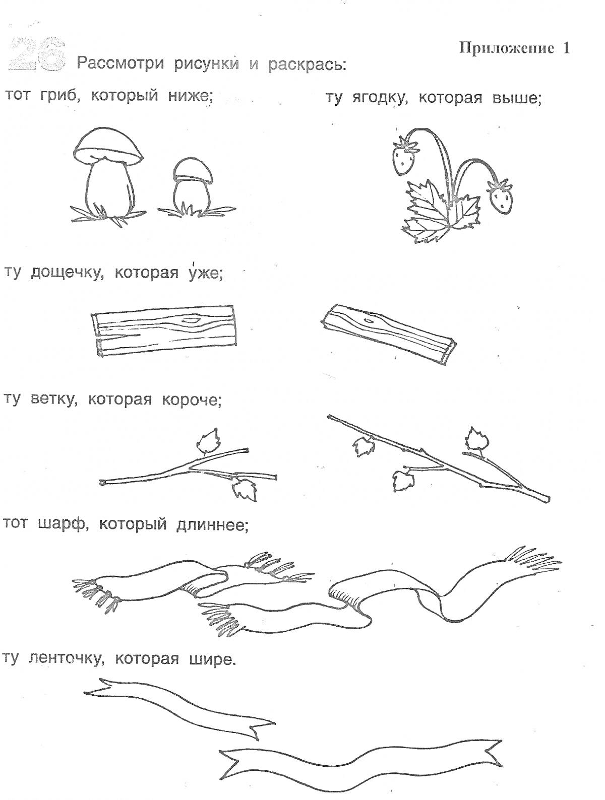 Раскраска грибы, ягоды, доска, ветка, шарф, лента