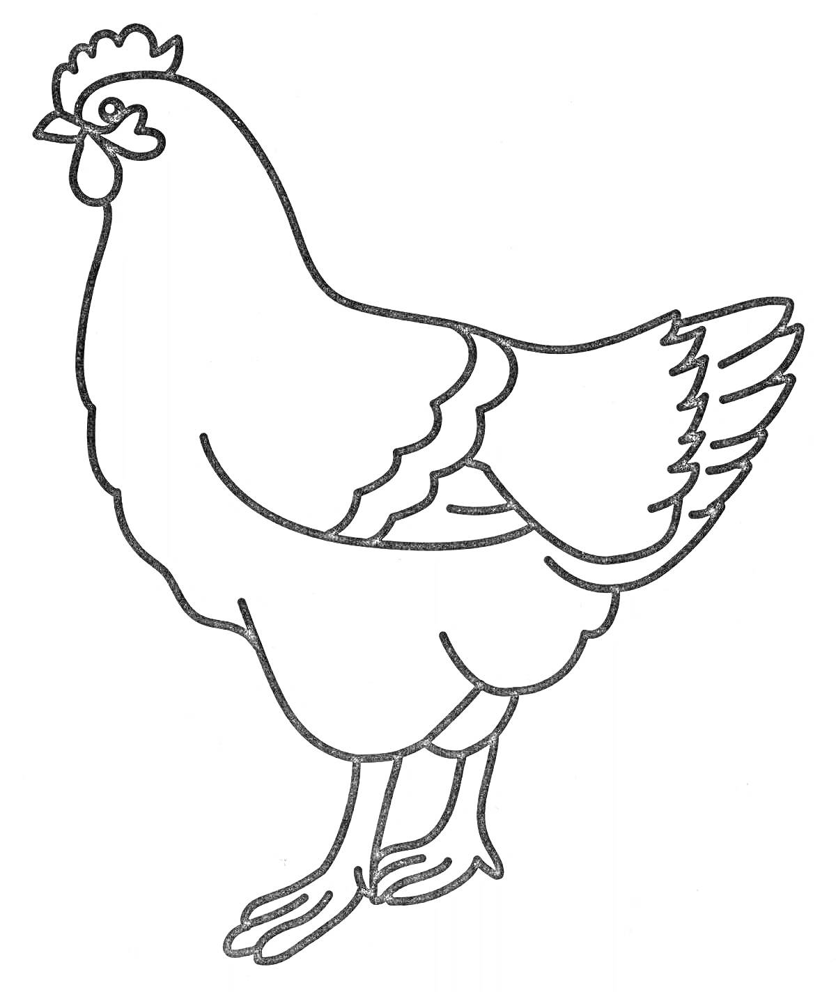 Раскраска Контурное изображение курицы
